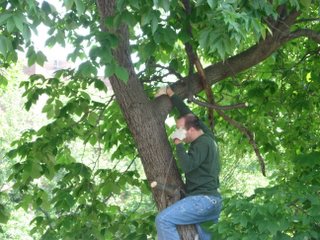 DSCN0552.JPG