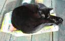 Sunbathing?