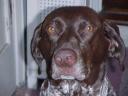 R.I.P. - Sassy...