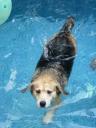 Everybody in the pool...