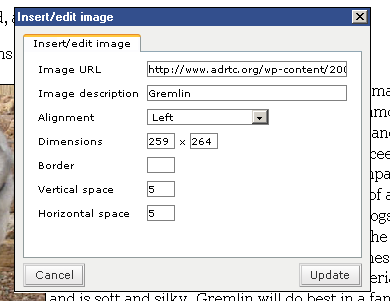 Upload Tutorial Step 5