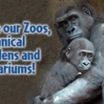 Bronx Zoo in need...